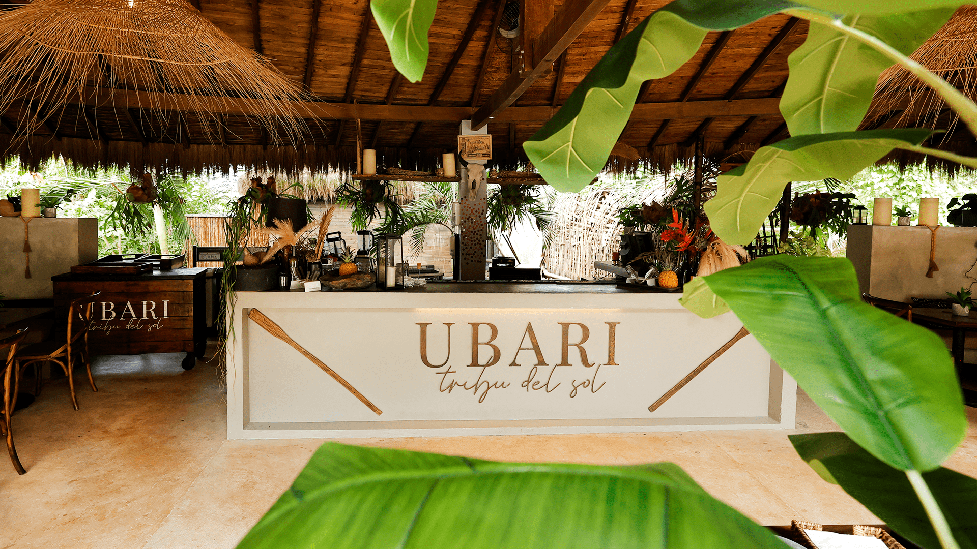 Día de sol San Jerónimo