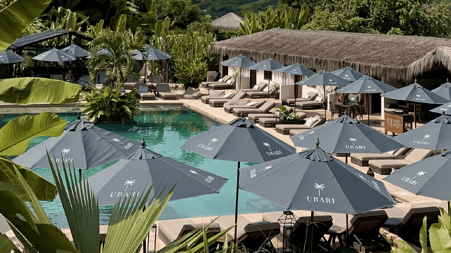 Día de sol San Jerónimo