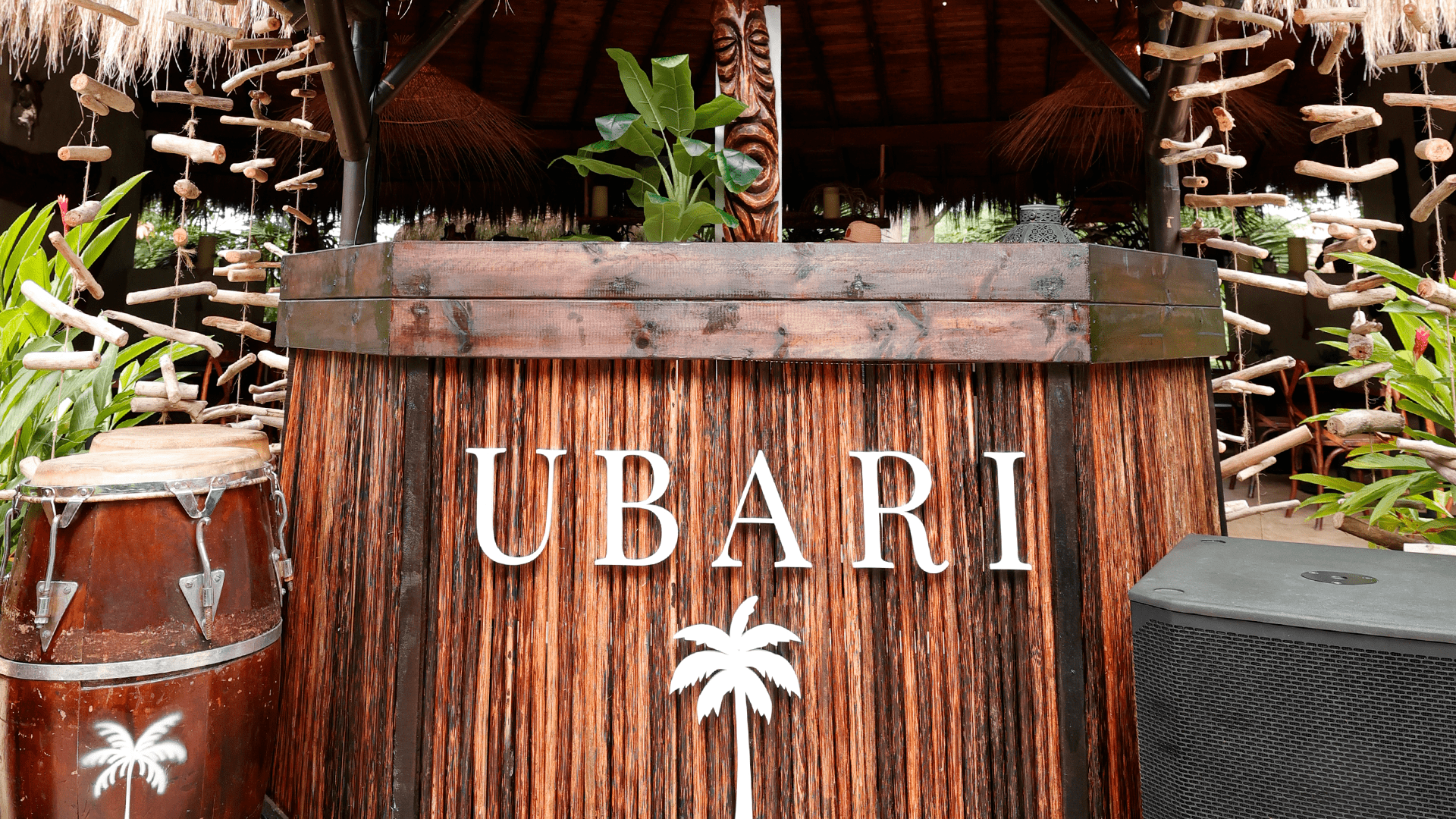 Día de sol San Jerónimo