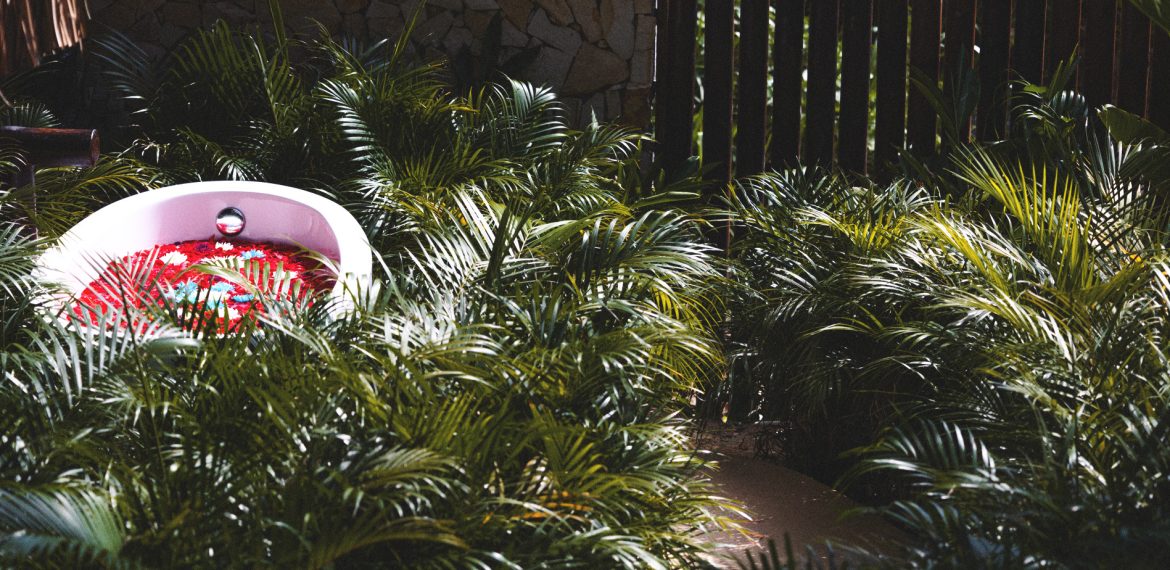 blog_17_06_2024_slader1 - Casa Candela