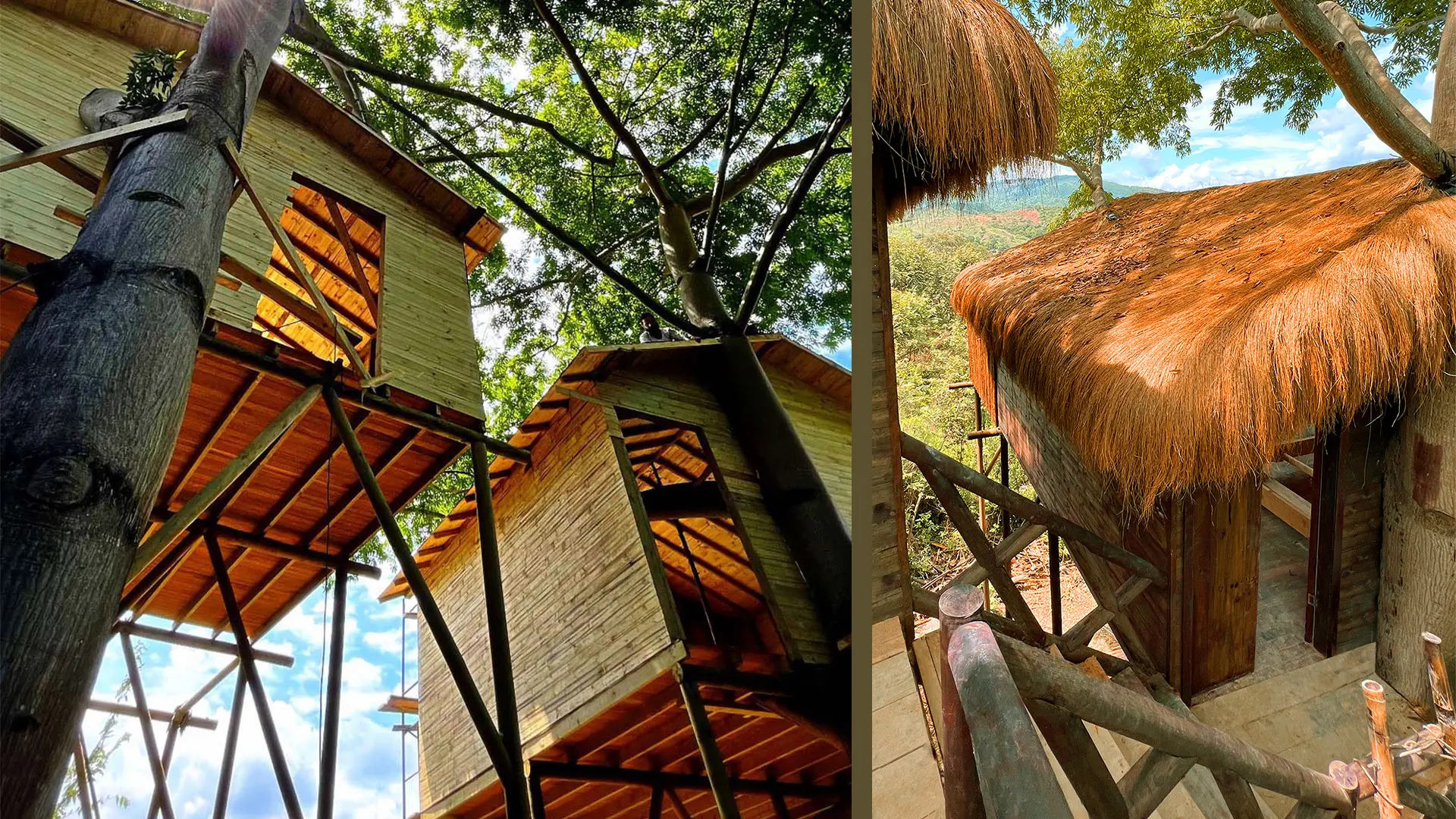 Blog-Casa-candela-Casa-del-Arbol - Casa Candela