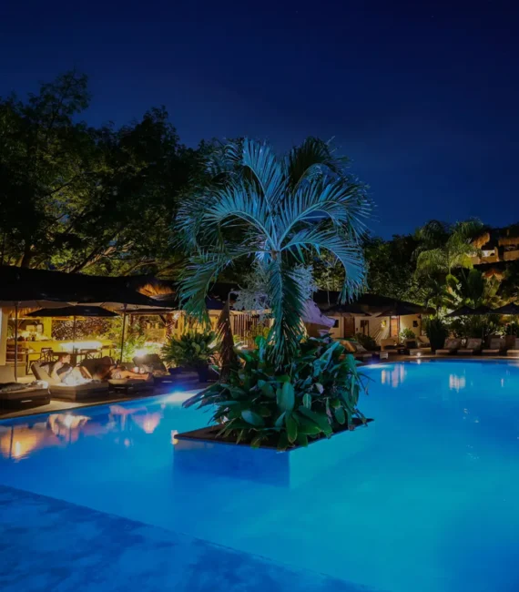 Fiesta San Silvestre Fiesta San Silvestre