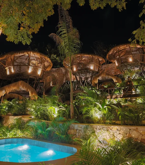 Fiesta San Silvestre Fiesta San Silvestre