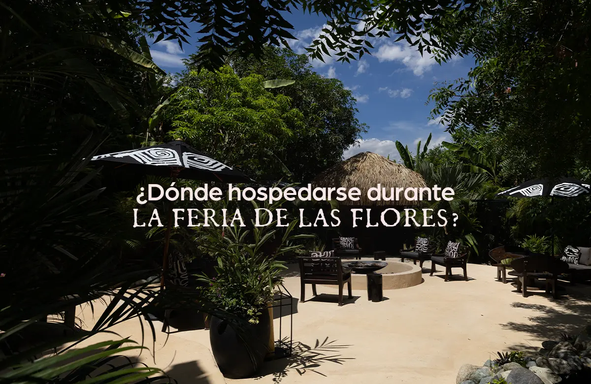 Feria de las Flores Feria de las Flores